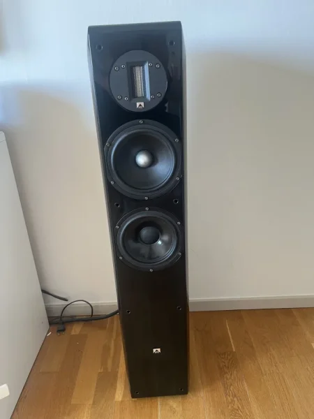 Golvhögtalare XTZ subba XTZ samt förstärkare Audiolab säljes Golvhögtalare XTZ subba XTZ samt förstärkare Audiolab säljes - Bild 6 av 6