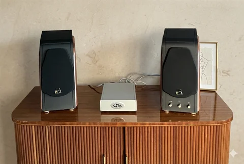 Swans M-200