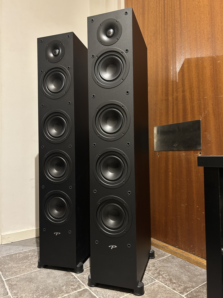 Paradigm Monitor SE 6000f