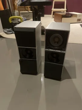 Beovox C75 i behov av omv&aring;rdnad