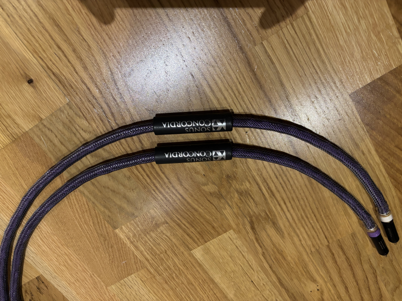 Sonus Concordia Saturnus ll RCA - Bild 2 av 2