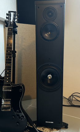 Sonus Faber Liuto 
