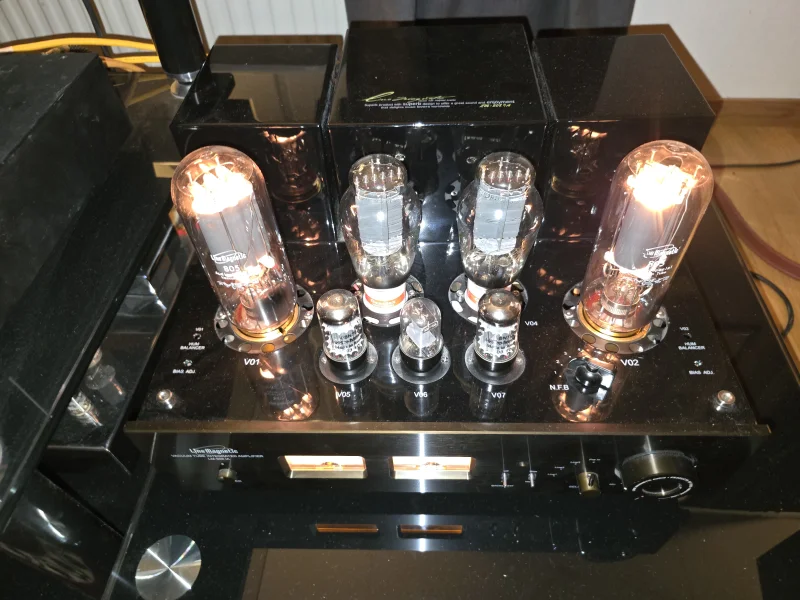 Line Magnetic LM 805 ia - Bild 4 av 6