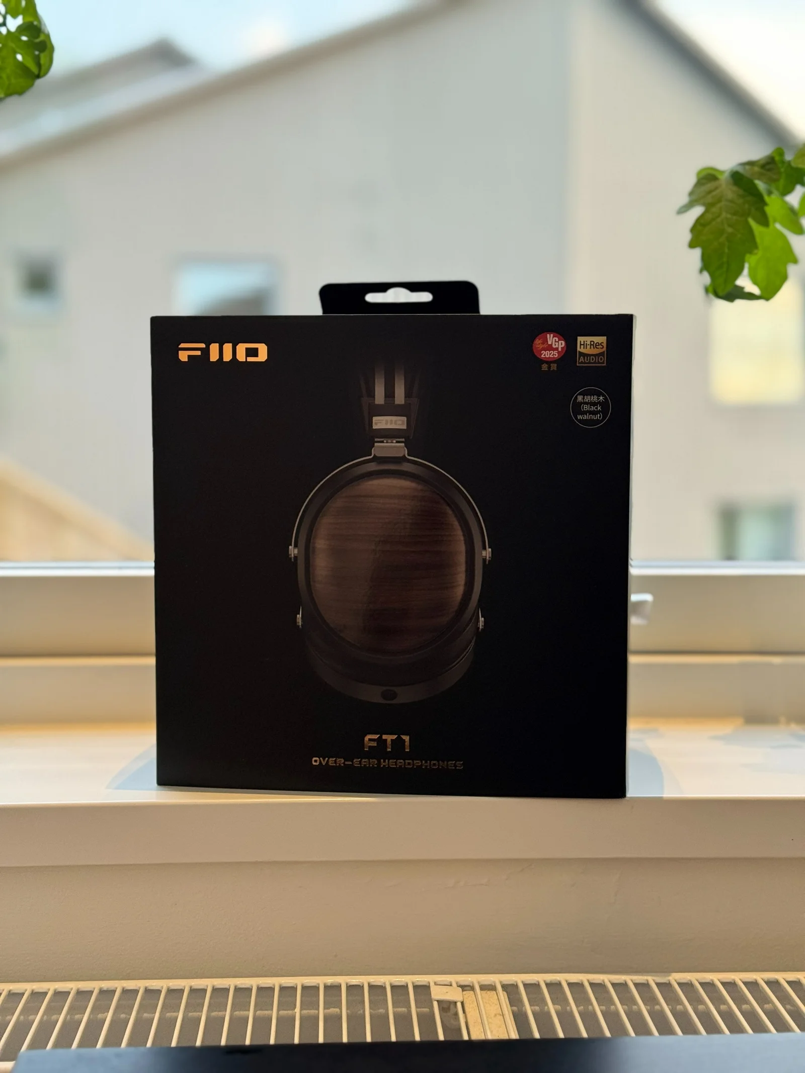 Fiio FT1, kompletta i nyskick med kvitto
