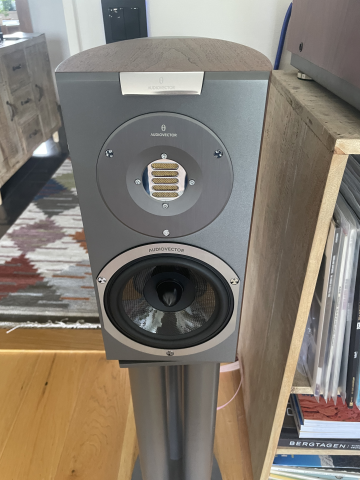 Audiovector R1 Arreté