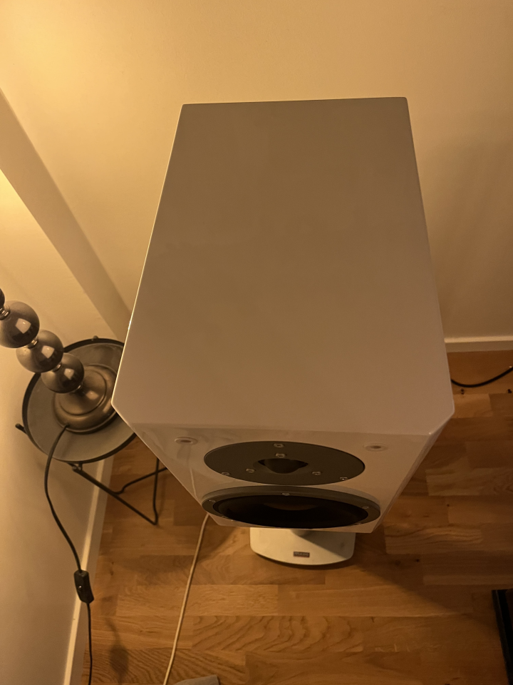 Dynaudio focus 160