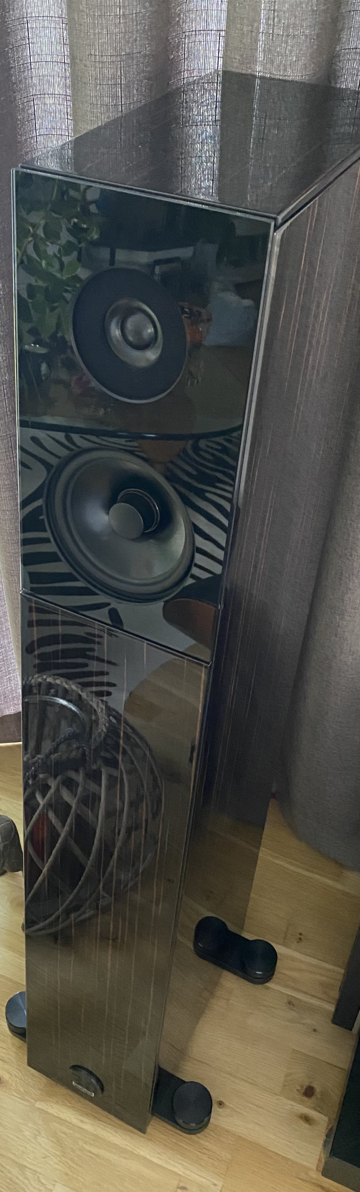 Audio Physic Avanti