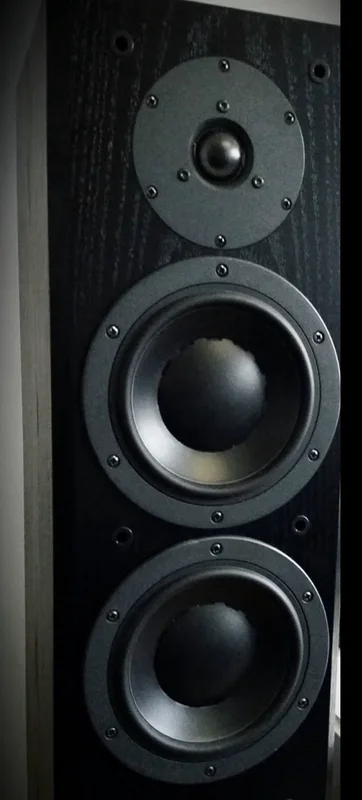 Dynaudio Focus 220 MKII Mint condition - Bilde 1 av 4