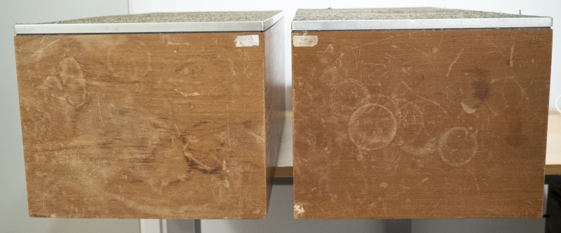 Celestion Ditton 25 - En defekt woofer - Bild 6 av 6