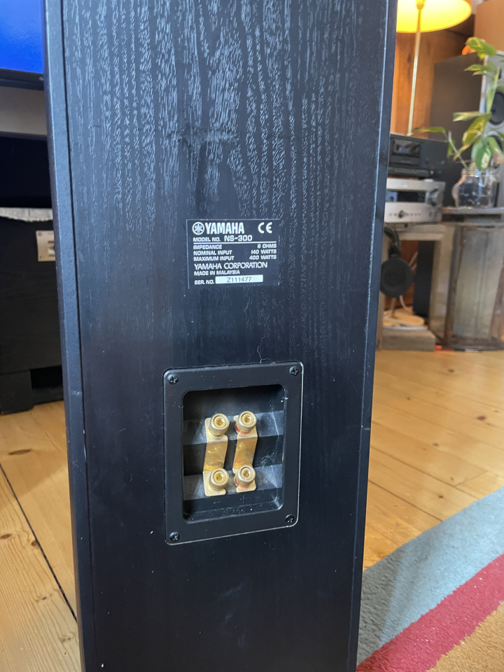 Yamaha NS-300 