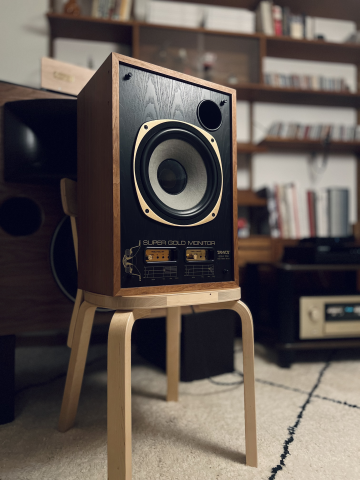 Tannoy SGM-10b