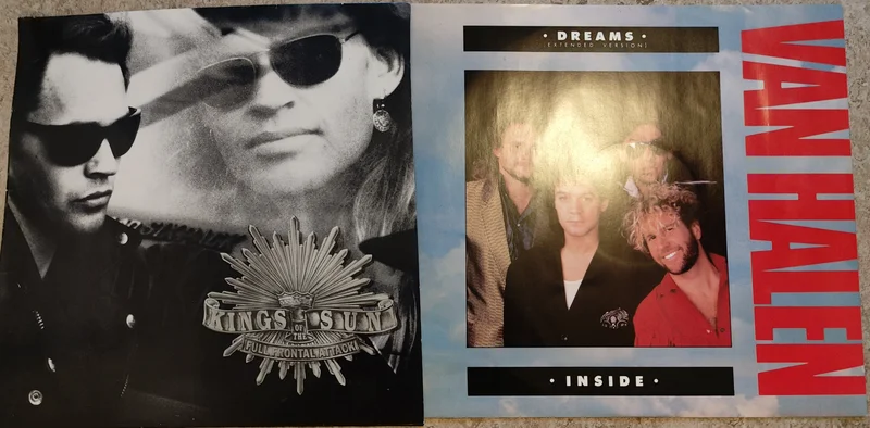 H&aring;rdrocksvinyl - Bild 9 av 10