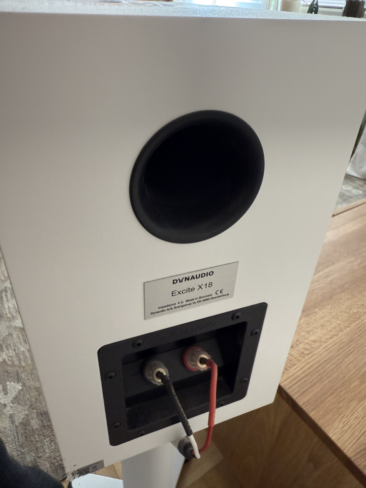 Dynaudio excite x18 