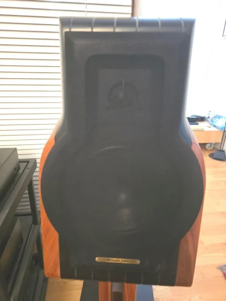 Sonus Faber Extrema + custom stativ - Bild 5 av 6