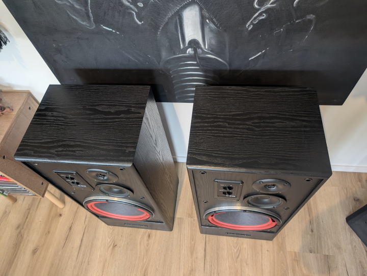 Cerwin Vega EE-312B