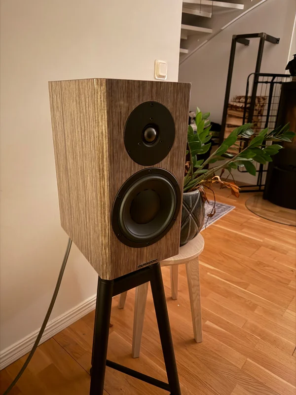 Dynaudio special forty grey birch - Image 2 of 2
