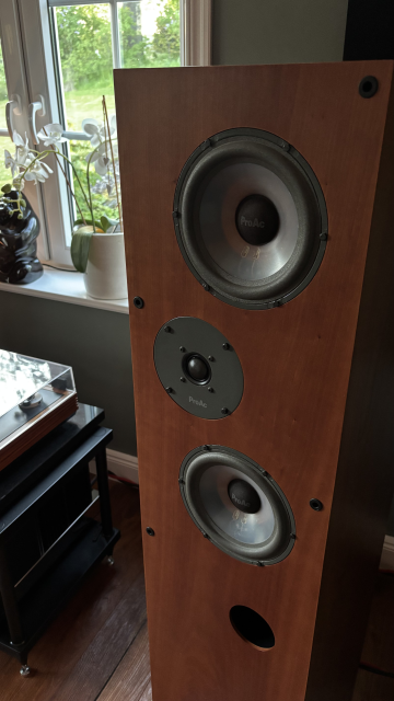 ProAc Response 3.5