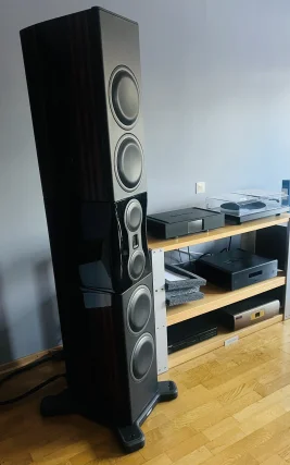 Högtalare Monitor Audio PL 500 II