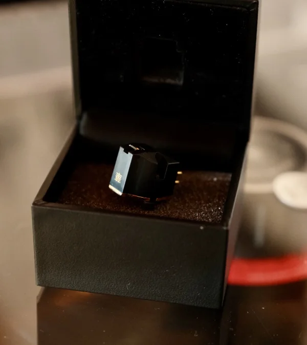 Hana ML i toppskick - Bild 1 av 1