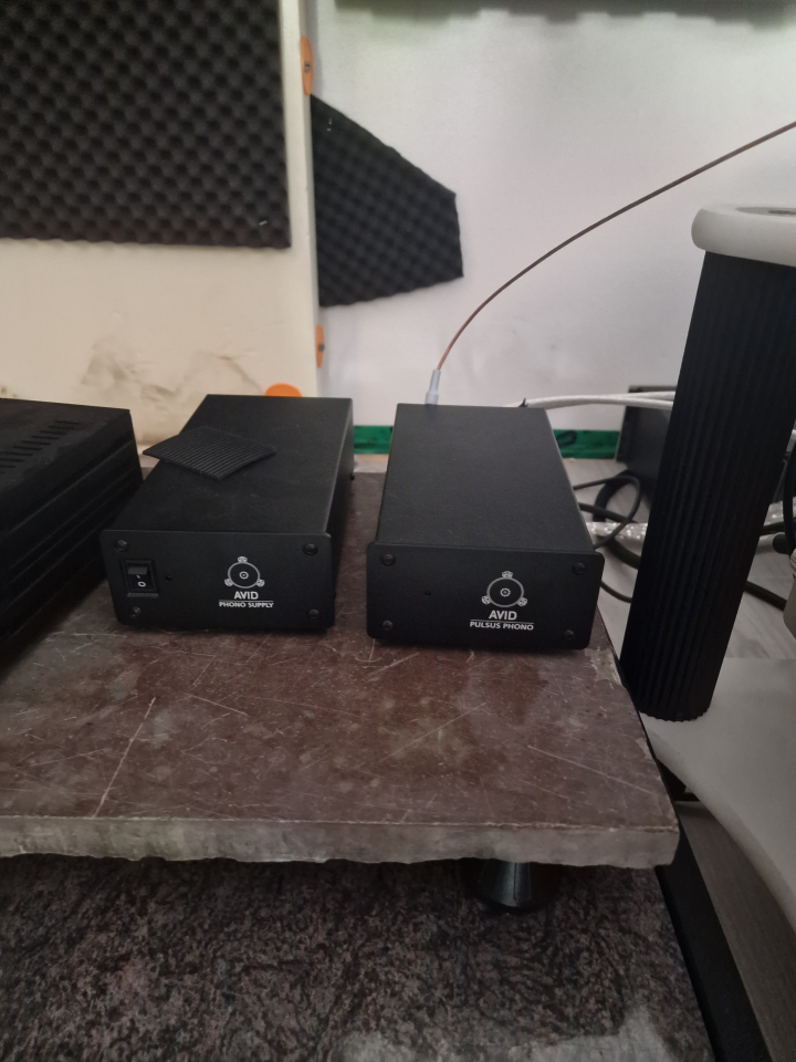 Avid pulsus Riia 
