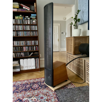 Martin Logan Ethos - Säljes