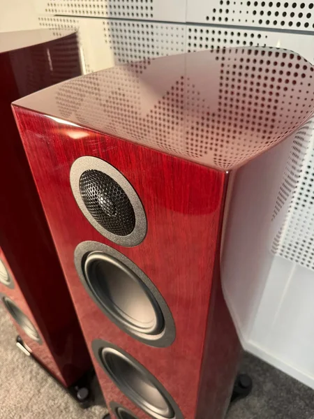 Gauder Akustik Elargo 200 &ndash; Premium High-End Floorstanding Speakers (Wine Finish) - Billede 12 af 14