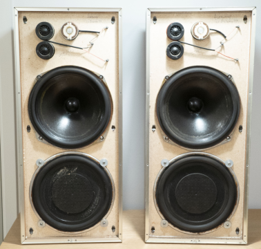 Celestion Ditton 25 - En defekt woofer