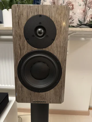Dynaudio Special Forty