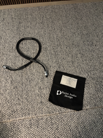 Purist Audio Design Neptun