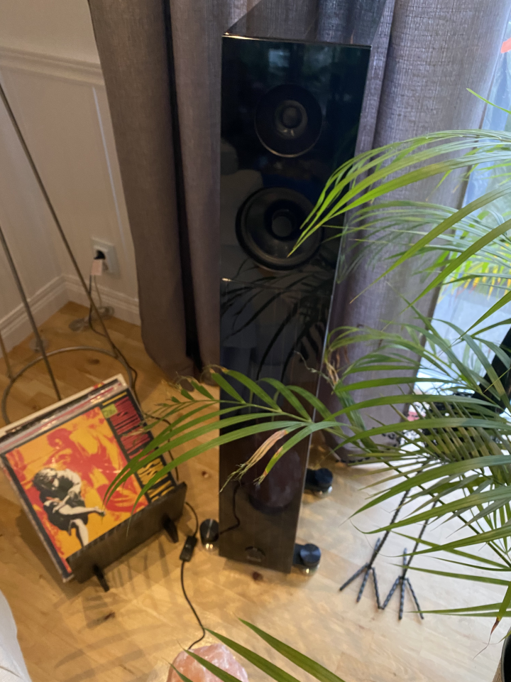 Audio Physic Avanti