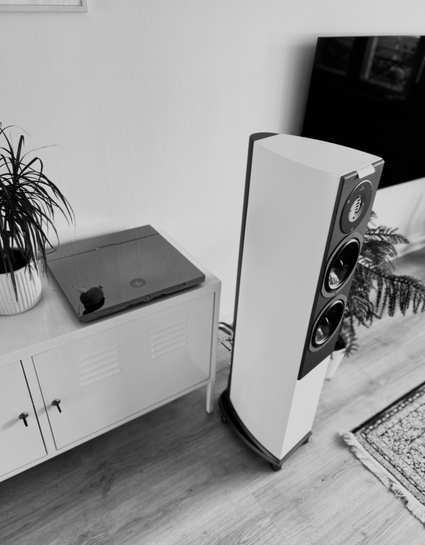 Säljes: Audiovector R3 Arreté – Vita, i nyskick Säljes: Audiovector R3 Arreté – Vita, i nyskick - Bild 5 av 5