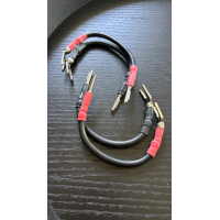 Chord Signature Links Ohmic