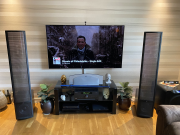 Martin Logan Ethos - Bild 1 av 1