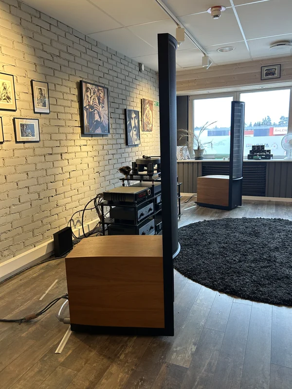 Martin Logan Renaissance ESL 15A - Valn&ouml;t  - Bild 5 av 5