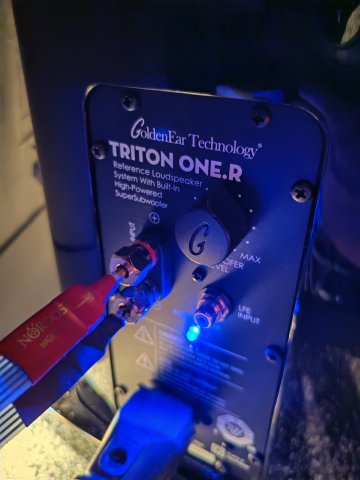 GoldenEar Triton One.R