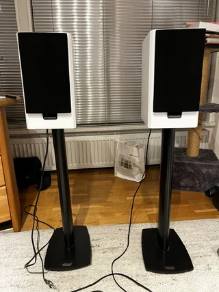 Dynaudio XEO 20