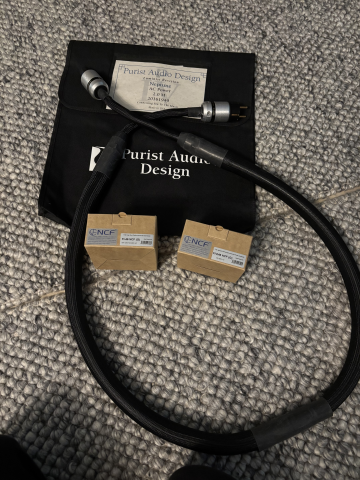 Purist Audio Design Neptun