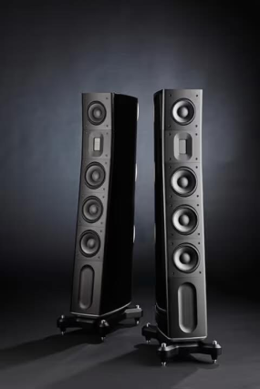 Raidho D-3.1 Svart Pianolack 