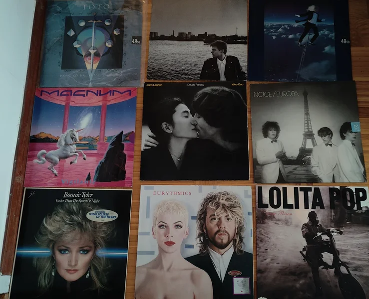 Vinylskivor s&auml;ljes i v&auml;ldigt gott skick - Bild 24 av 37