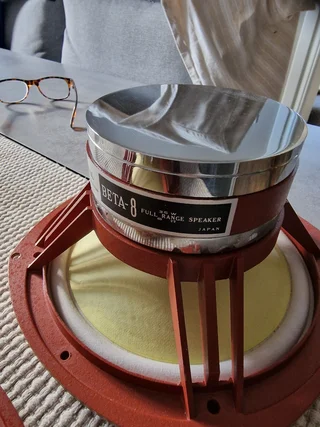 Coral Beta 8