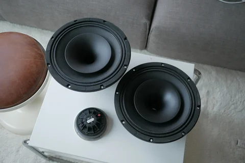 2st Sica 12" coaxialh&ouml;gtalare i toppskick