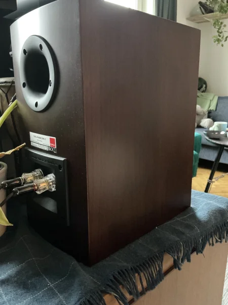 Dali Rubicon 2 maroon och Hegel H120  - Bild 6 av 6