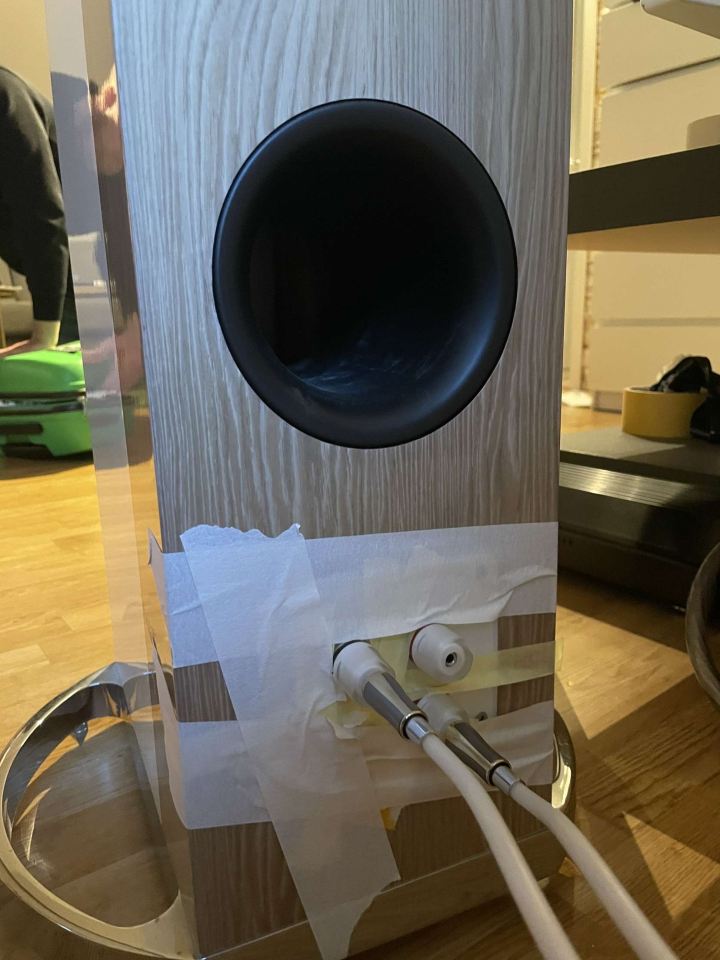Acoustic högtalare och magnat förstärkare 