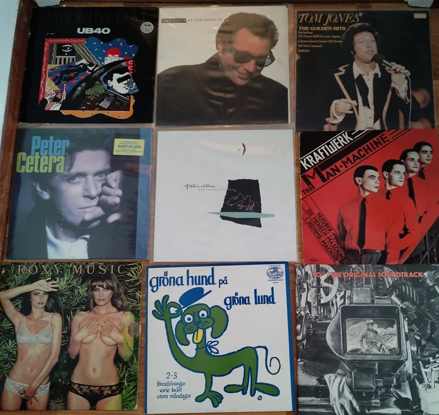 Vinylskivor s&auml;ljes i v&auml;ldigt gott skick - Bild 23 av 37
