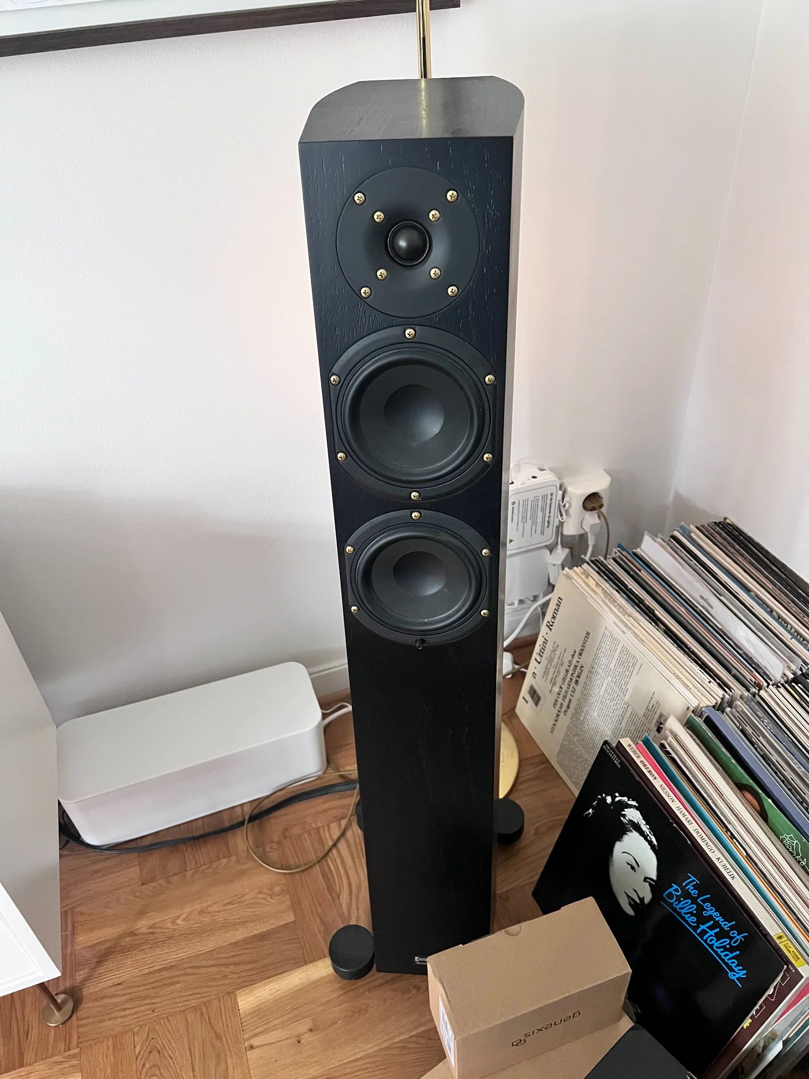 Audio Physic Spark V