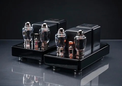 APS Airart 170 Monoblocks.