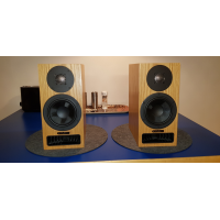 PMC Twenty5 21 