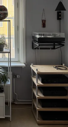 Harmonihyllan Tor 5 hyllplan Björk. 