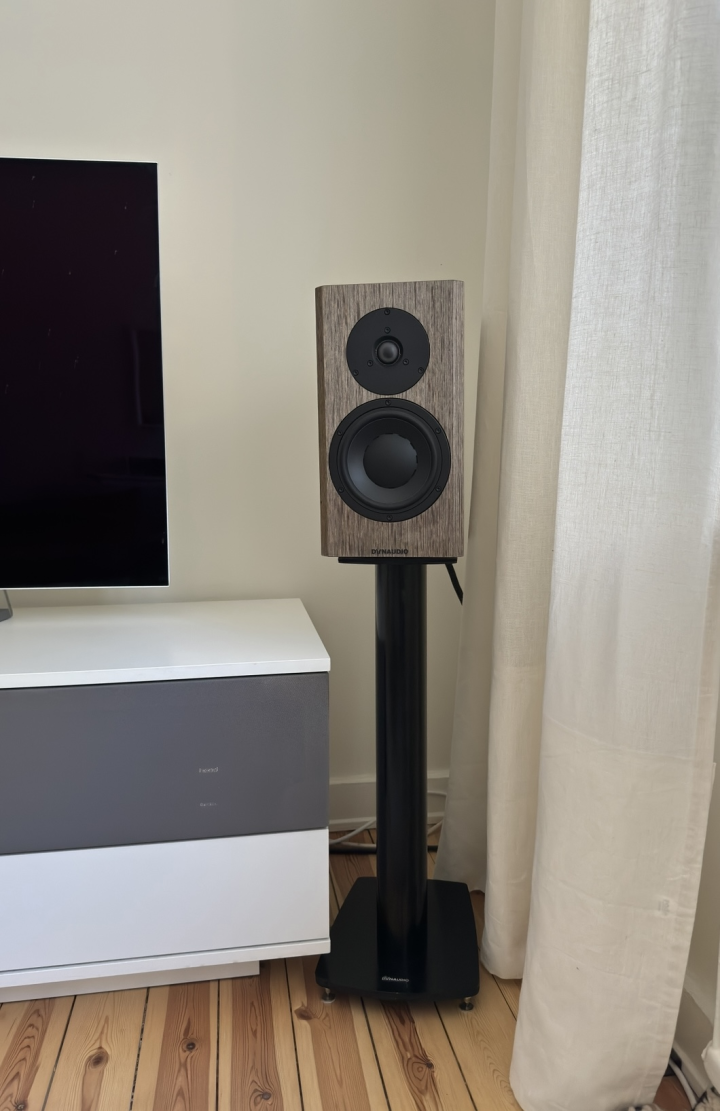 Heed Thesis - Dynaudio Spcial 40