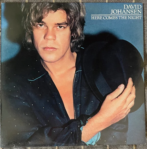 David Johansen - Here Comes The Night (LP) - Bild 1 av 4